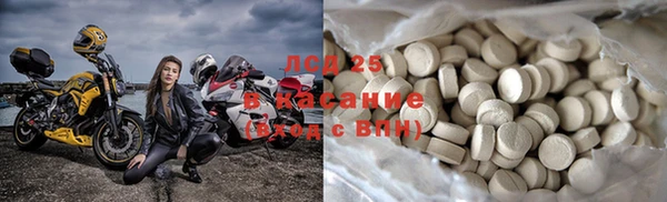 ГАЛЛЮЦИНОГЕННЫЕ ГРИБЫ Козловка