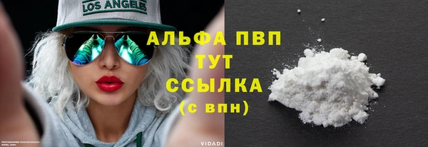 индика Мегион
