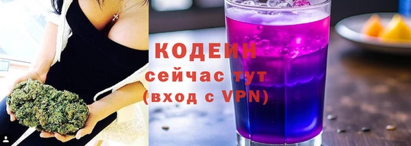 ГАЛЛЮЦИНОГЕННЫЕ ГРИБЫ Козловка