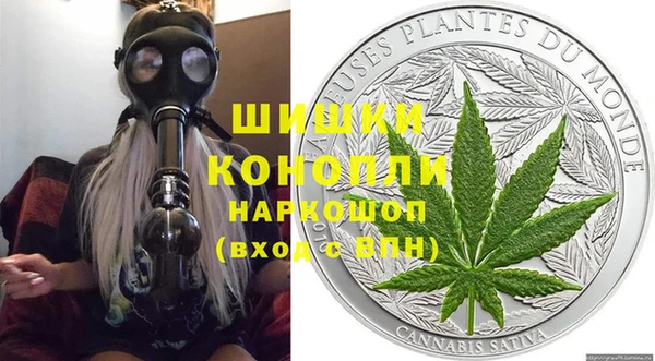 ГАЛЛЮЦИНОГЕННЫЕ ГРИБЫ Козловка