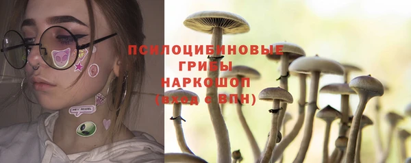 ГАЛЛЮЦИНОГЕННЫЕ ГРИБЫ Козловка