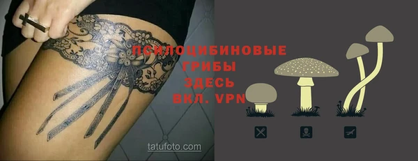 бошки Кодинск