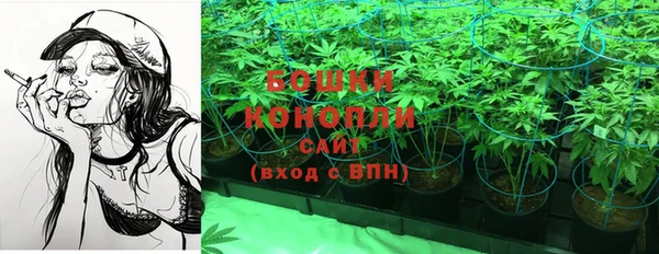 ГАЛЛЮЦИНОГЕННЫЕ ГРИБЫ Козловка