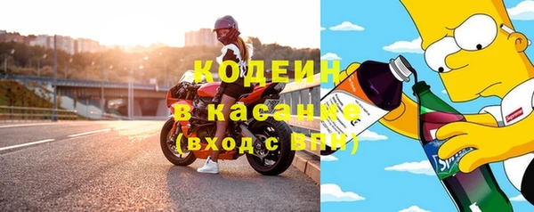 ГАЛЛЮЦИНОГЕННЫЕ ГРИБЫ Козловка