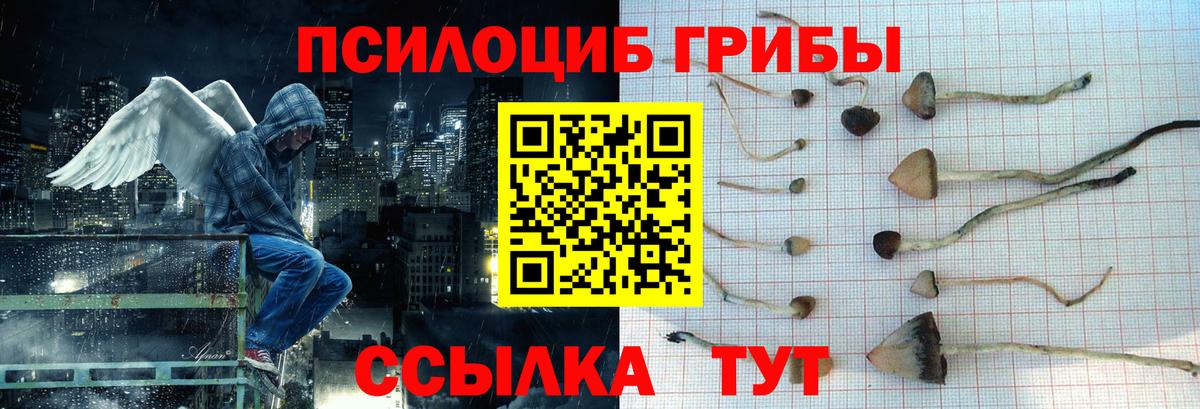 Псилоцибиновые грибы ЛСД  Вход с VPN  Пенза 