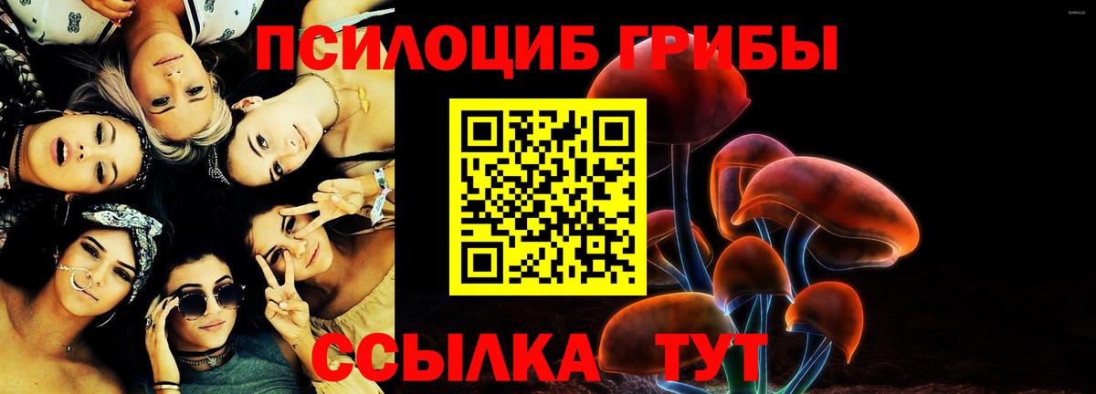 Псилоцибиновые грибы ЛСД Пенза